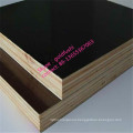 4*8 feet Black Film Faced Plywood in Factory